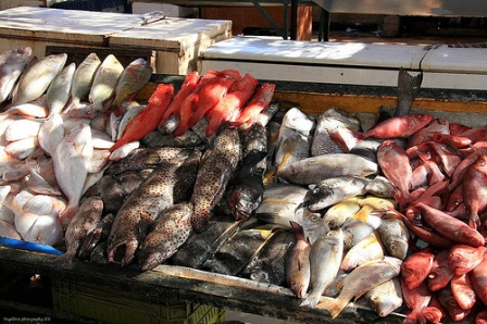 Fish Market of Hurghada